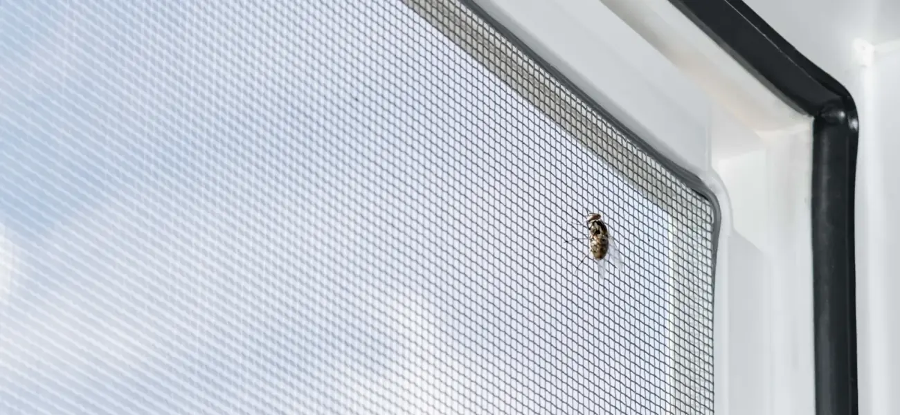 Moskitiery okienne - najczęściej zadawane pytania.
